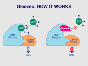 gleevec - how it works