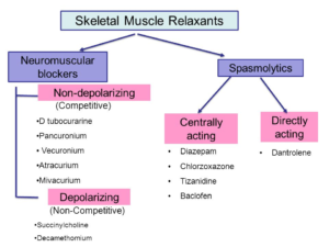 What Are Skeletal Muscle Relaxants?