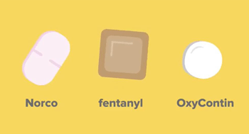 Different types of opioids